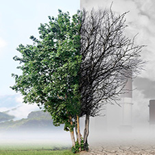 Air Quality